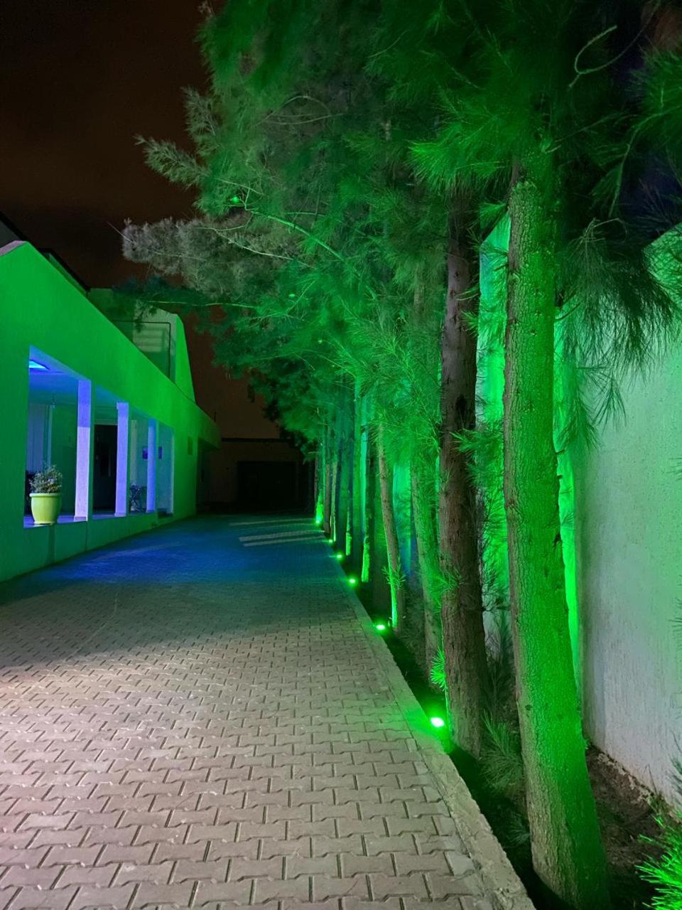 Riad Nice Tagadirt Extérieur photo